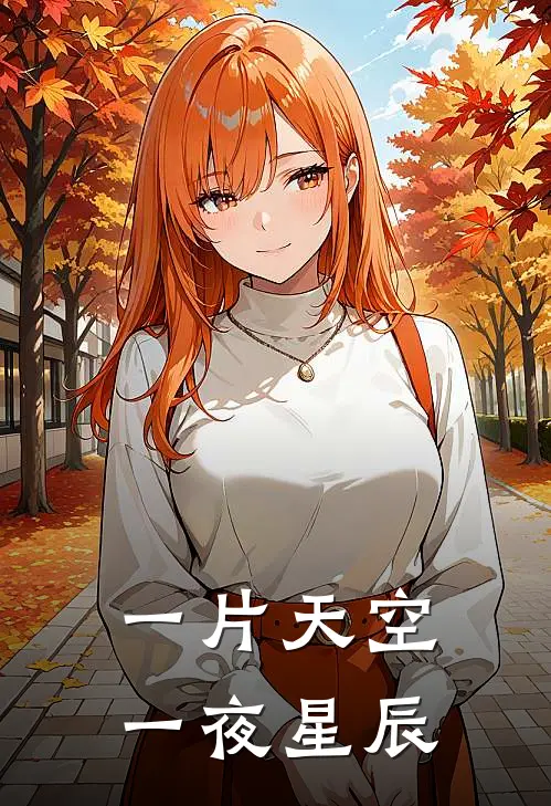 一片天空一夜星辰