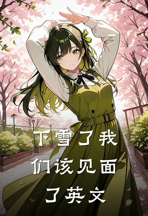 下雪了我们该见面了英文