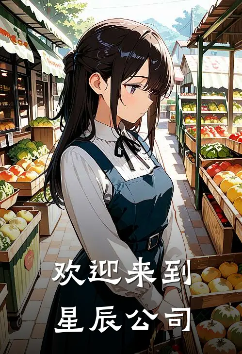 欢迎来到星辰公司